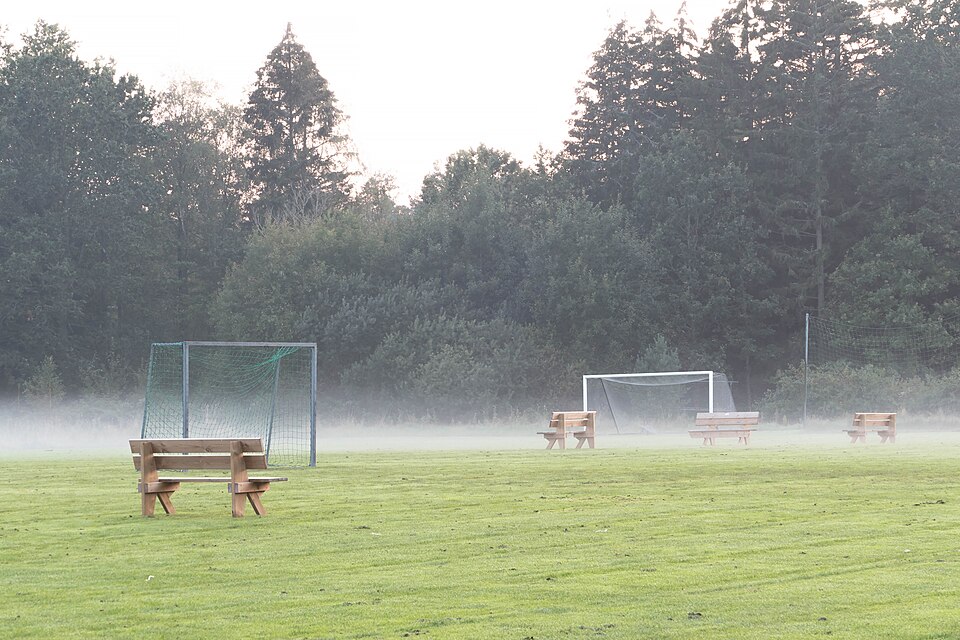 Pantalla con cuotas en vivo mientras se juega un partido